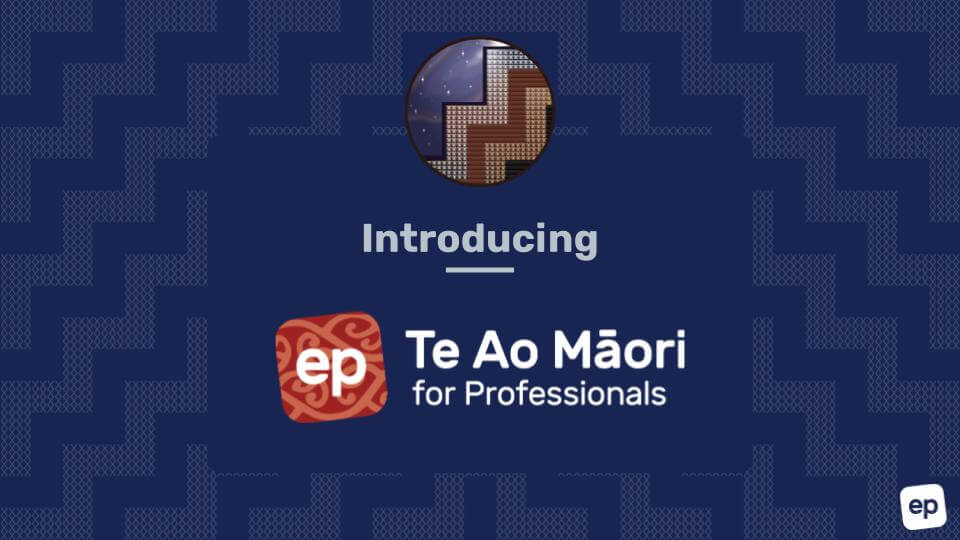 Te-Ao-Maori-for-Professionals-Presentation-0222